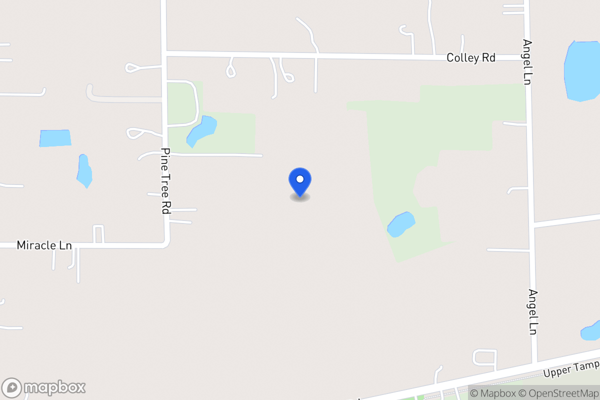 Map of Pine Tree Rd, Odessa