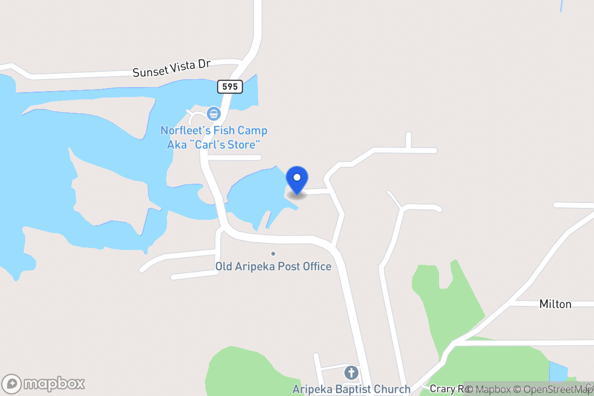 Map of 9016 Petal, Hudson
