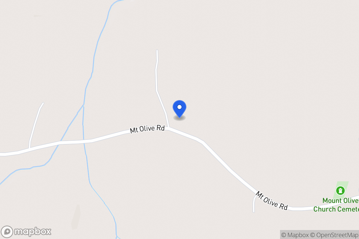 Map of 393 Mt Olive Rd