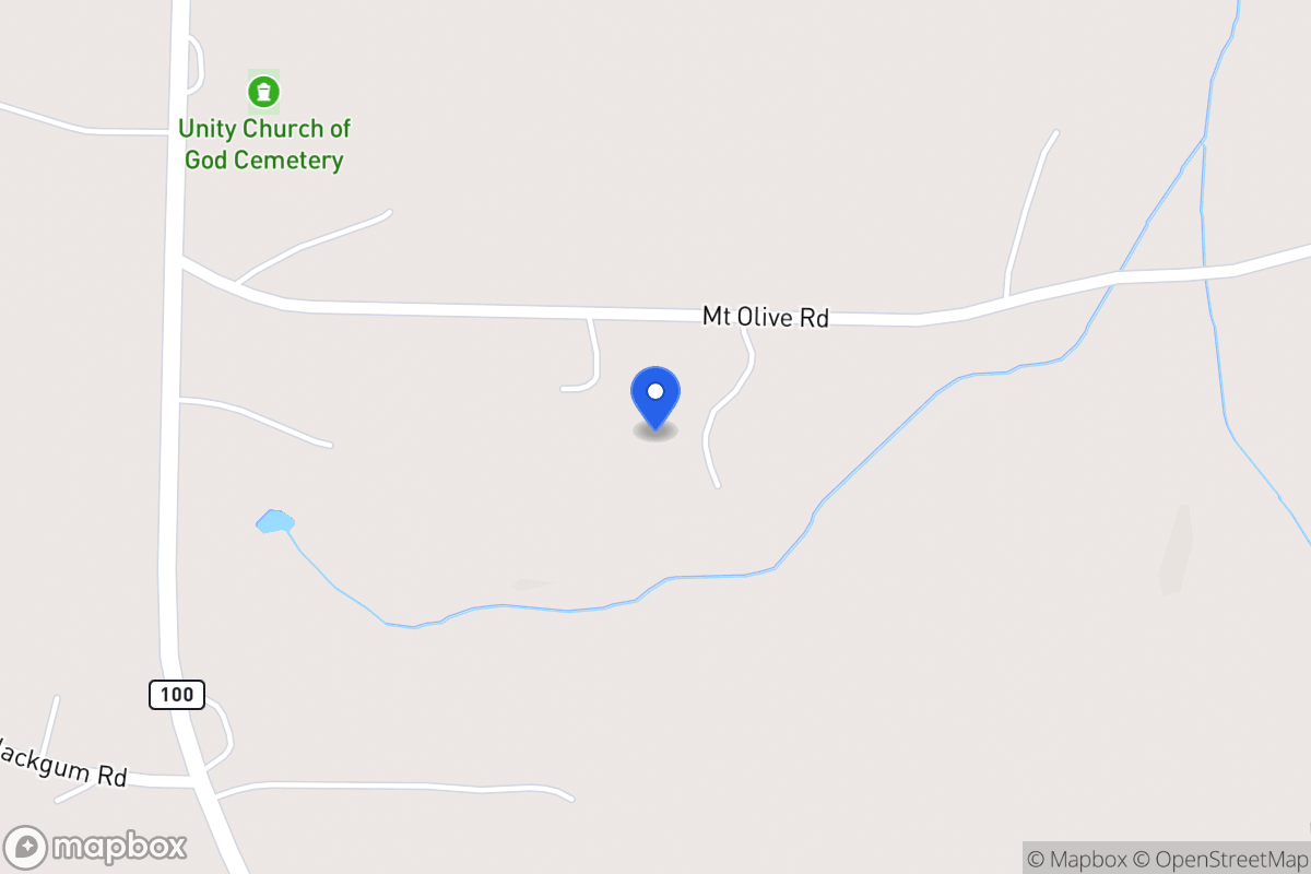 Map of 169 Mt Olive Rd