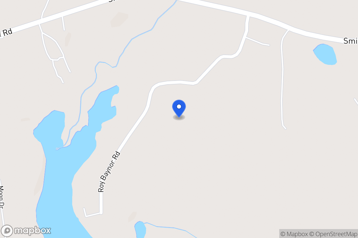 Map of 171 Roy Baynor Ln