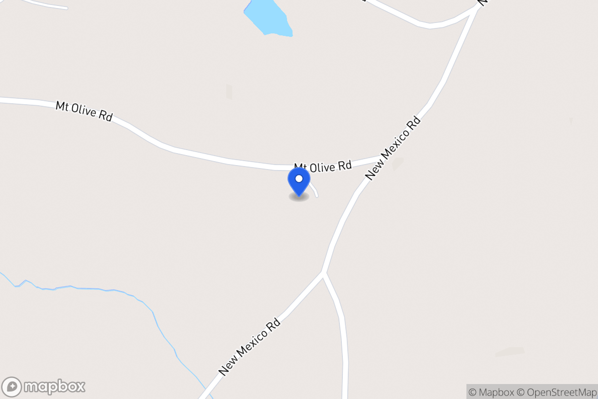 Map of 875 Mt Olive Rd