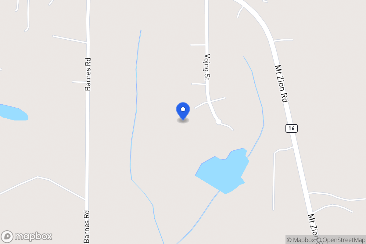 Map of 1009 Vong St