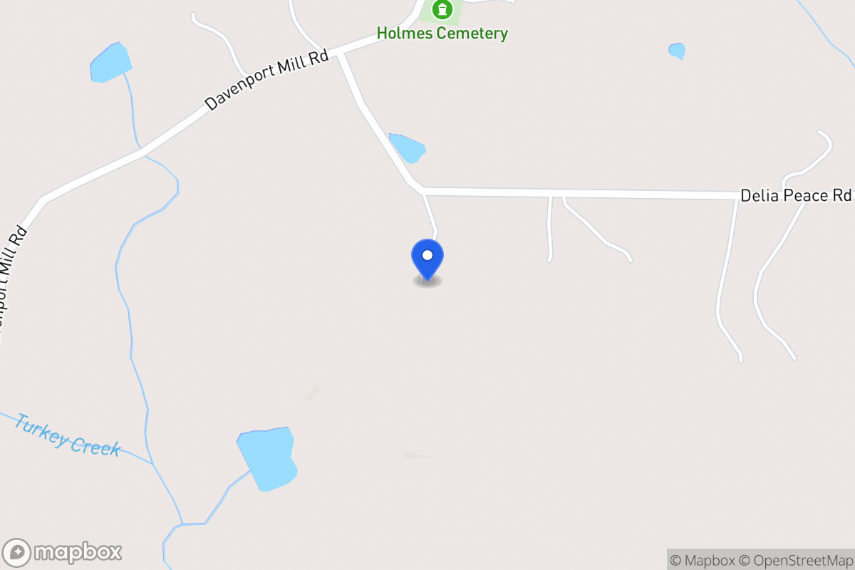 Map of 382 Delia Pease Rd