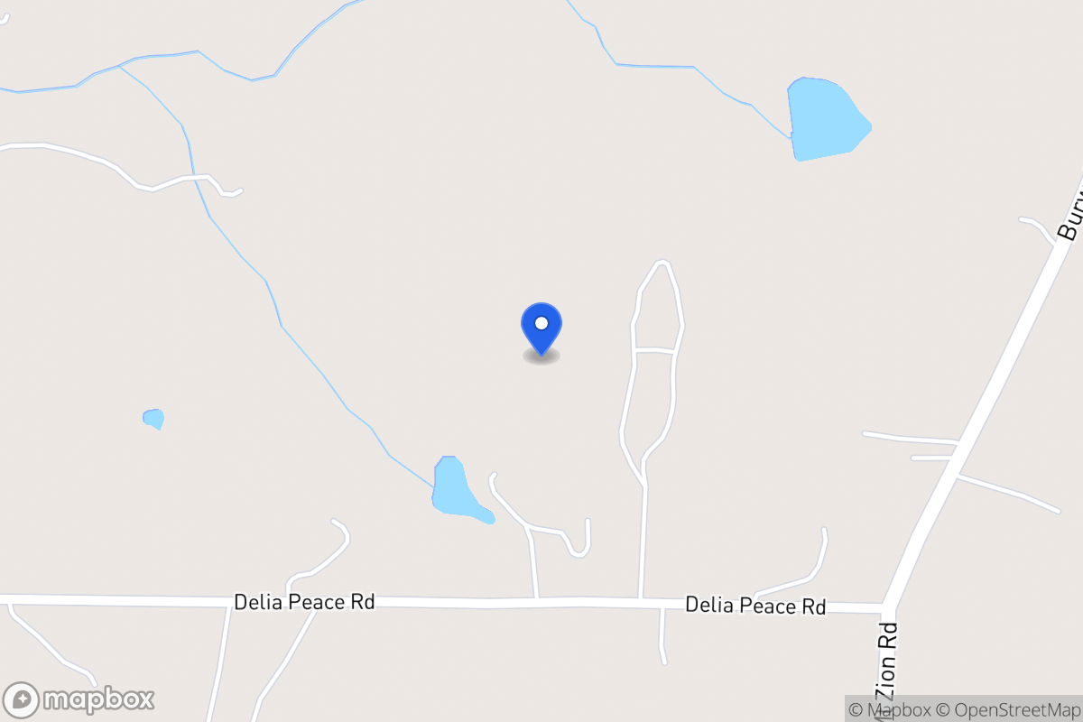 Map of 127 Delia Pease Rd