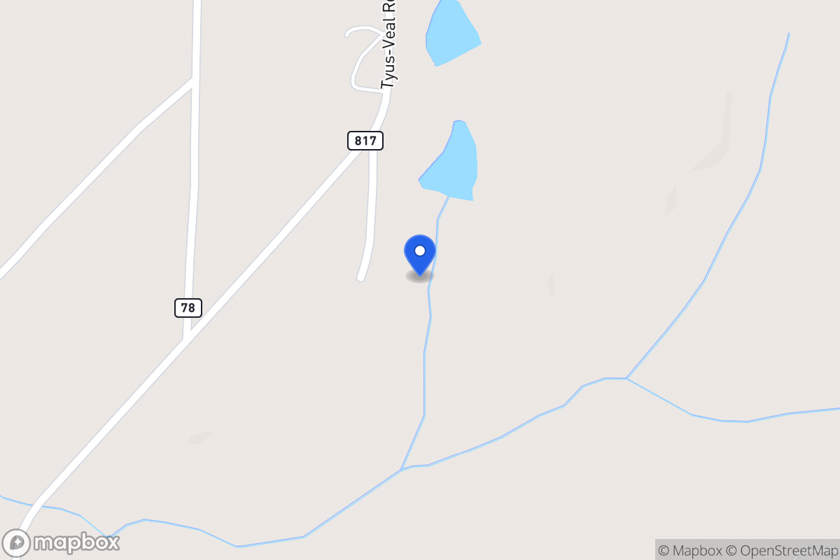 Map of 156 Tyus Veal Rd
