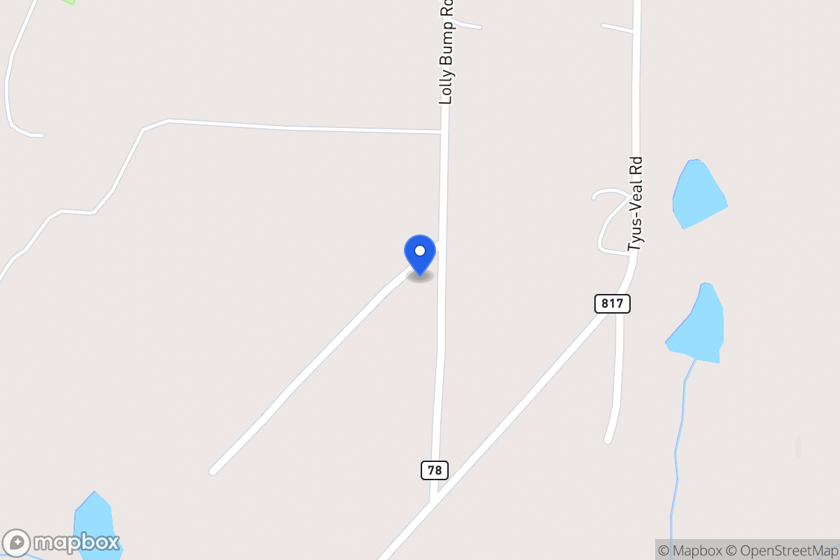 Map of 165 Lolly Bump Rd
