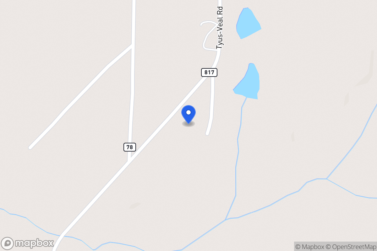 Map of 162 Tyus Veal Rd