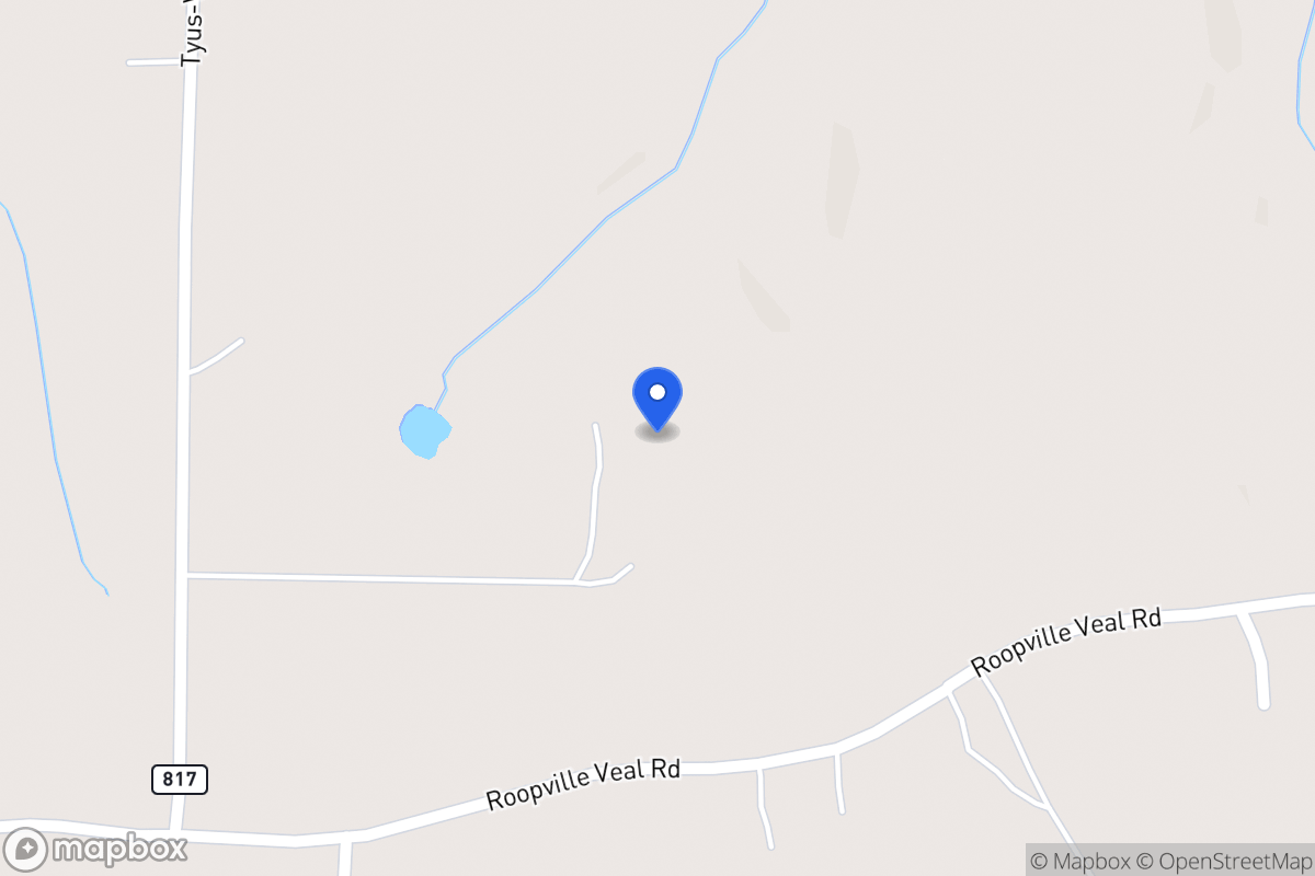 Map of 1206 Tyus Veal Rd