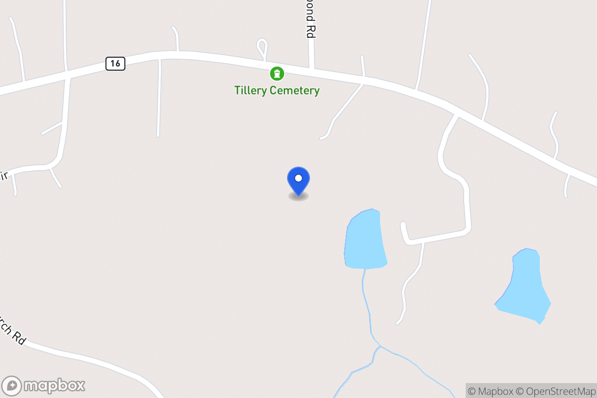 Map of 2994 Mt Zion Rd