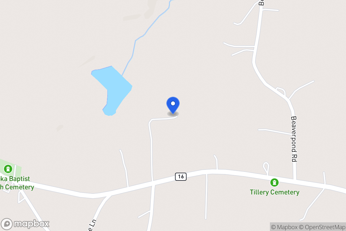 Map of 3171 Mt Zion Rd