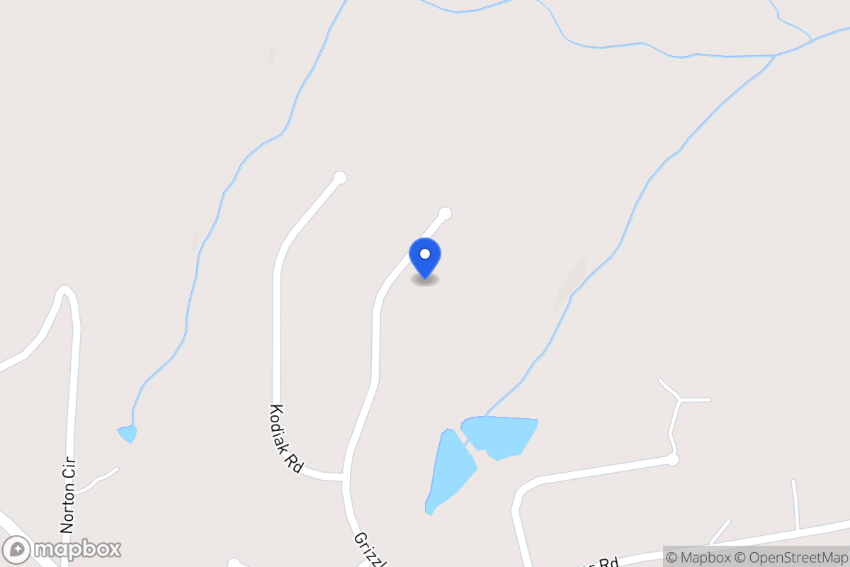 Map of 163 Grizzly Trl