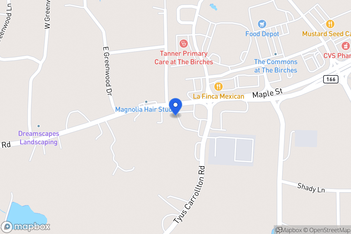 Map of 33 Tyus Carrollton Rd