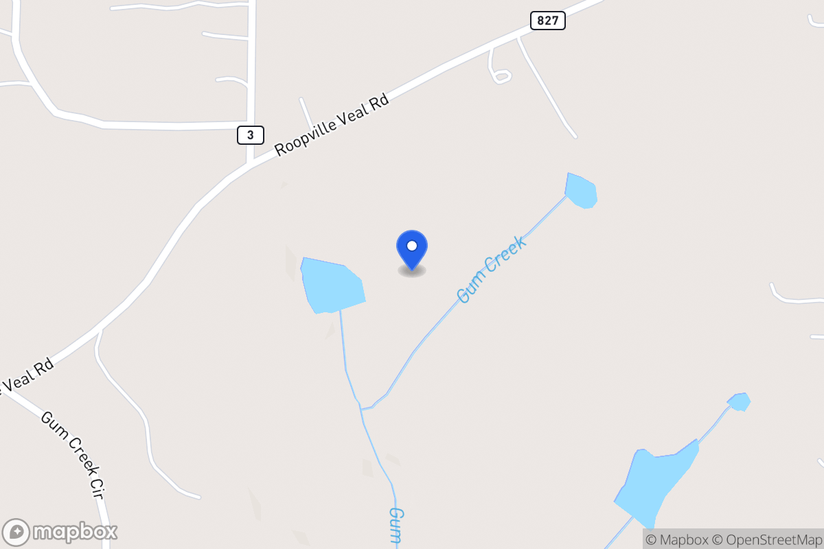 Map of 238 Roopville Veal Rd