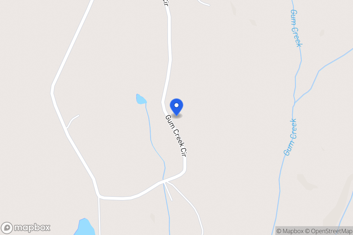 Map of 204 Gum Creek Cir