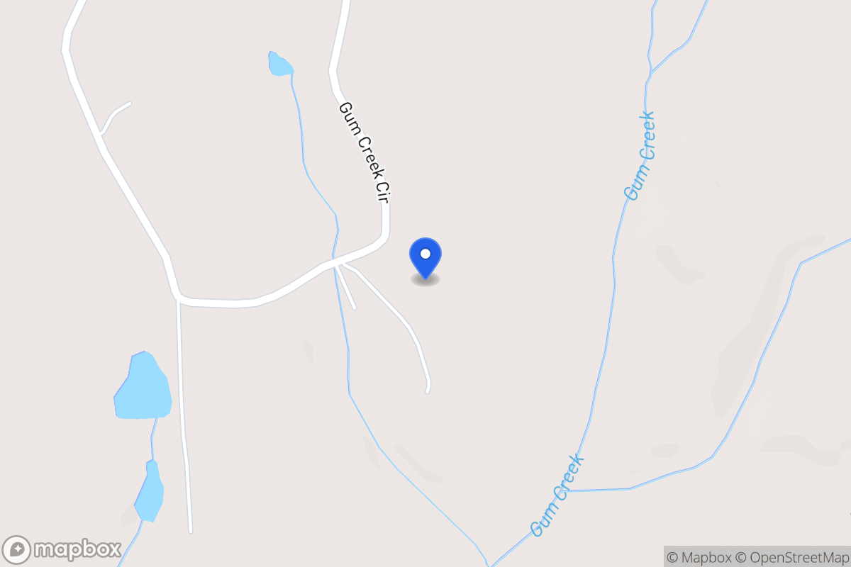 Map of 262 Gum Creek Cir