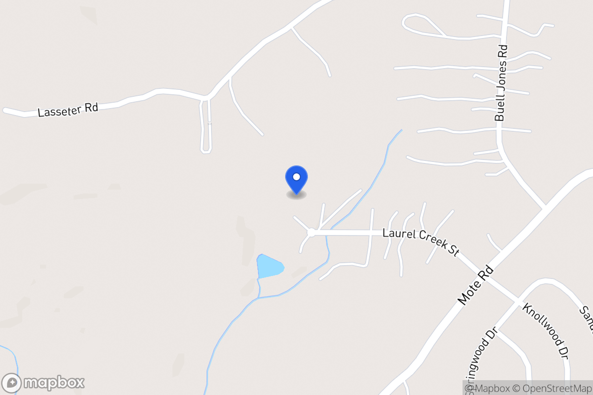 Map of 169 Laurel Creek Ct