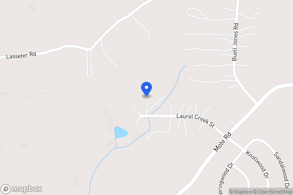 Map of 163 Laurel Creek Ct