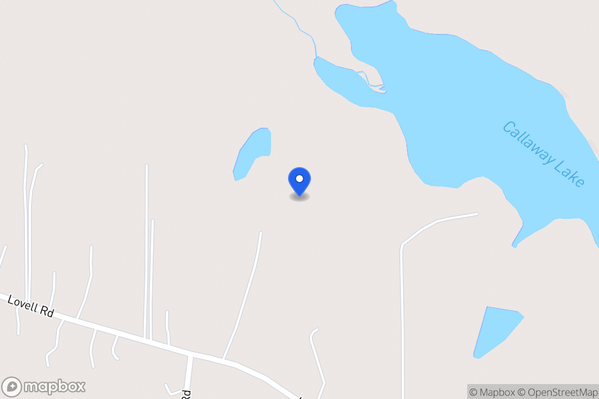 Map of 393 Lovell Rd
