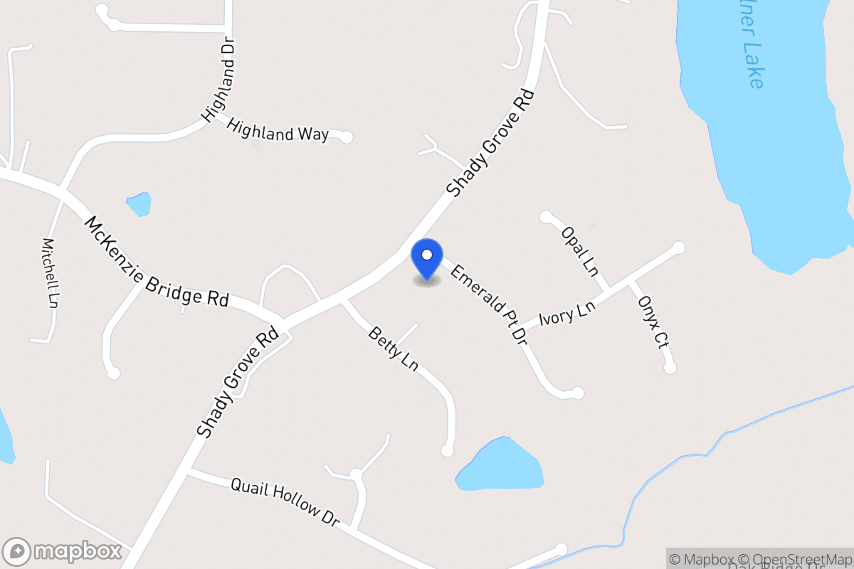 Map of 163 Emerald Pointe Dr