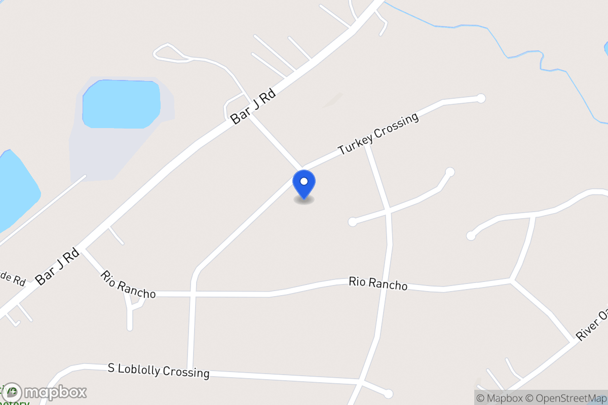Map of 101 N Loblolly Xing