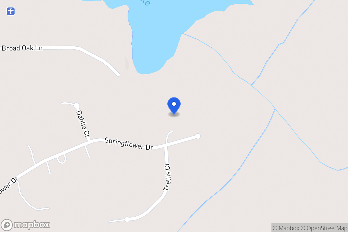 Map of 258 Springflower Dr