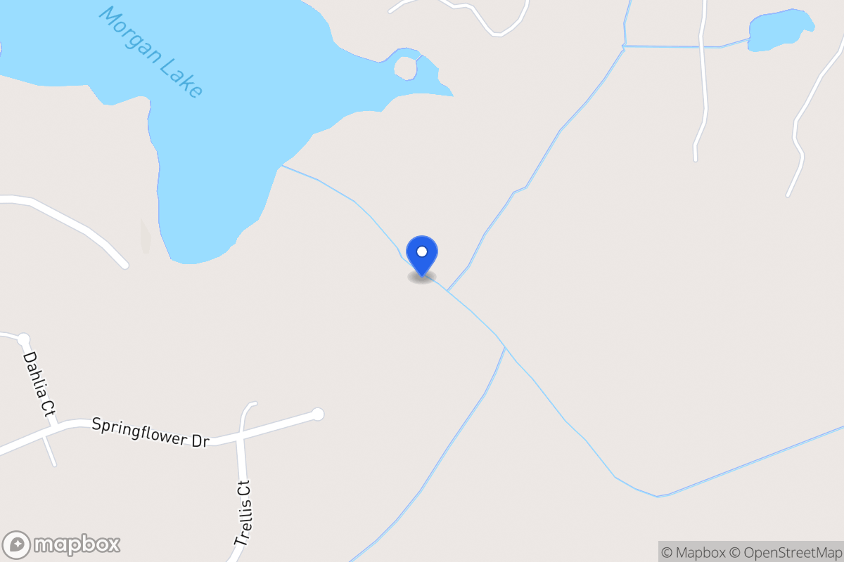 Map of 290 Springflower Dr