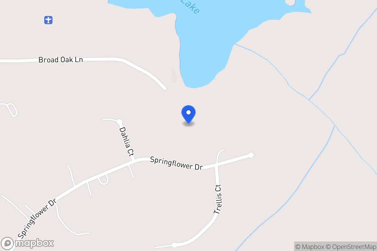 Map of 220 Springflower Dr