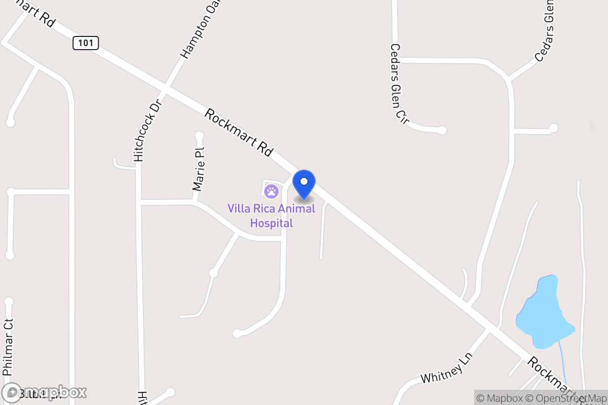 Map of 8 Newman Dr