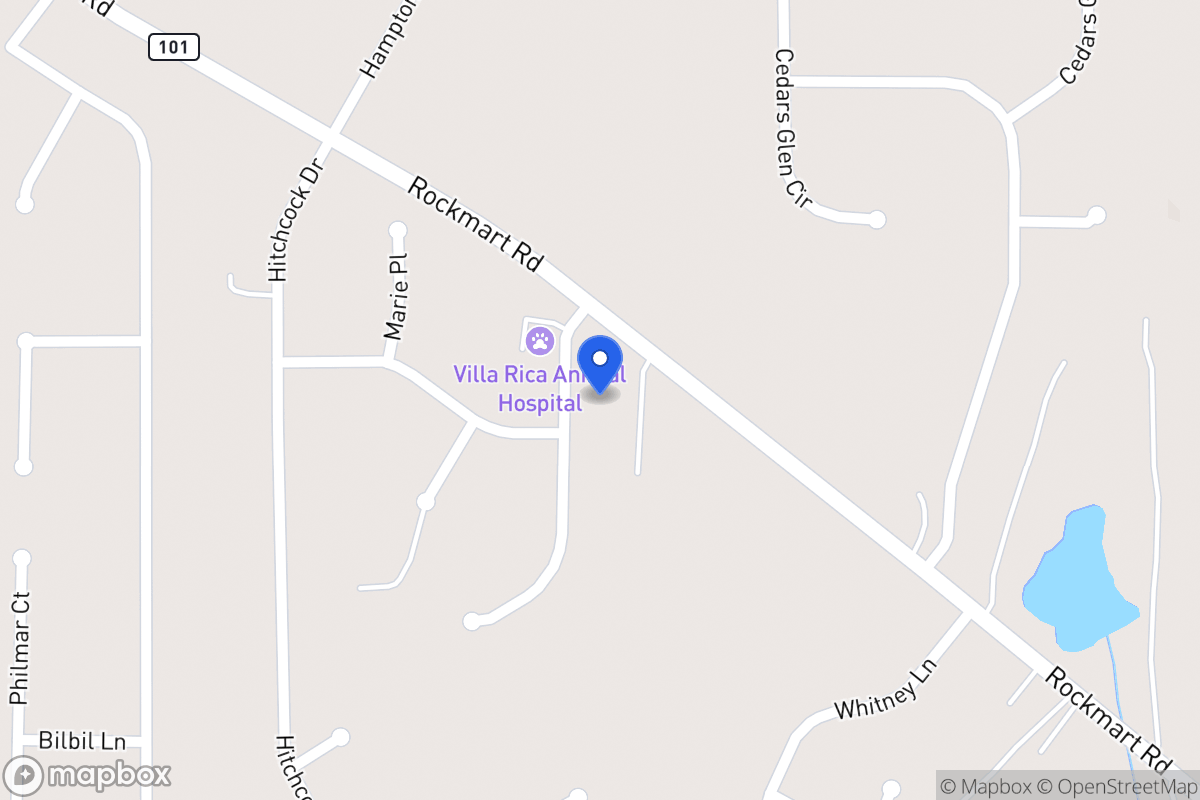 Map of 20 Newman Dr