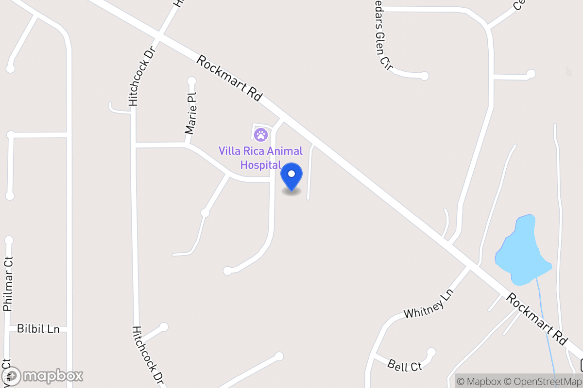 Map of 42 Newman Dr