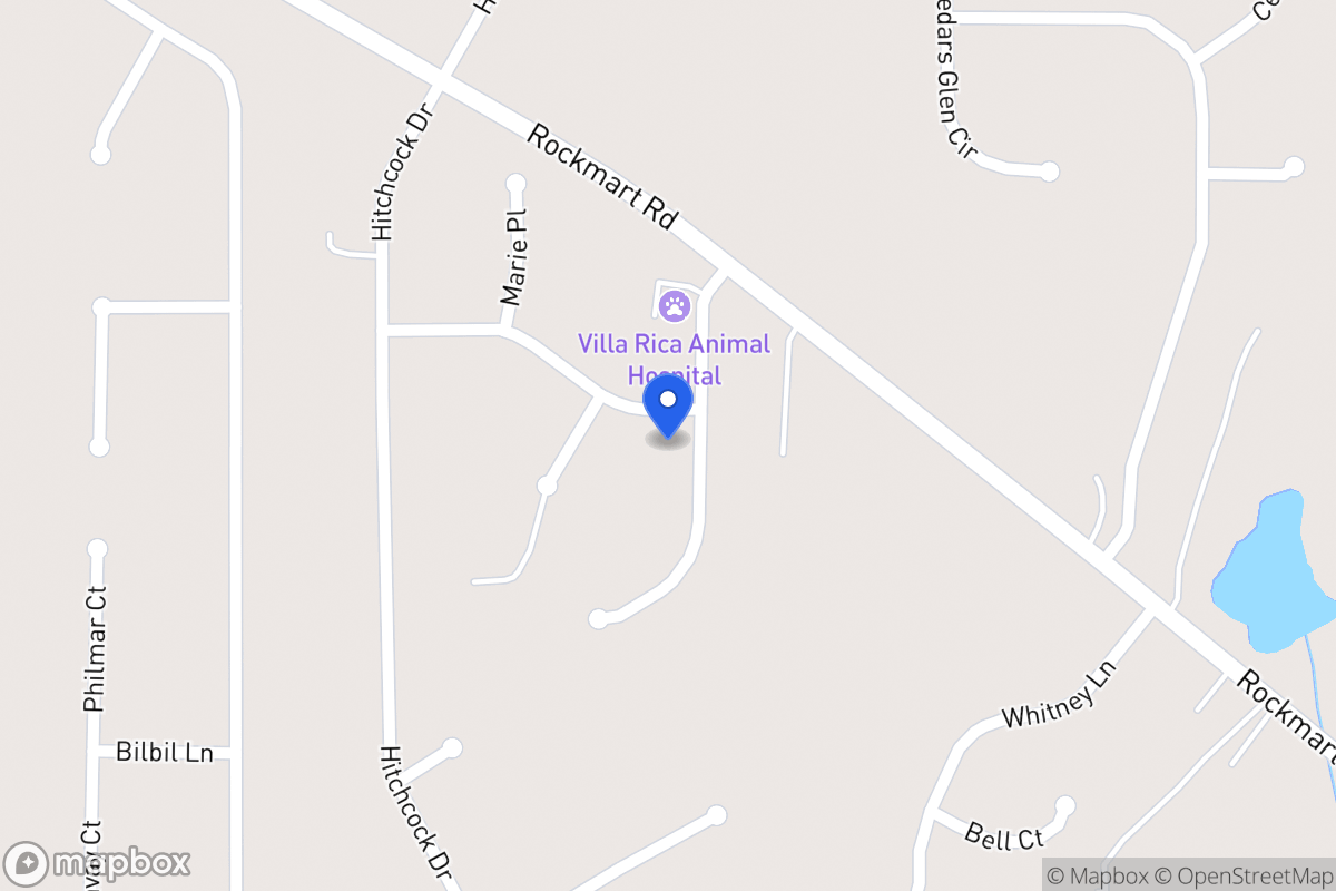 Map of 45 Newman Dr