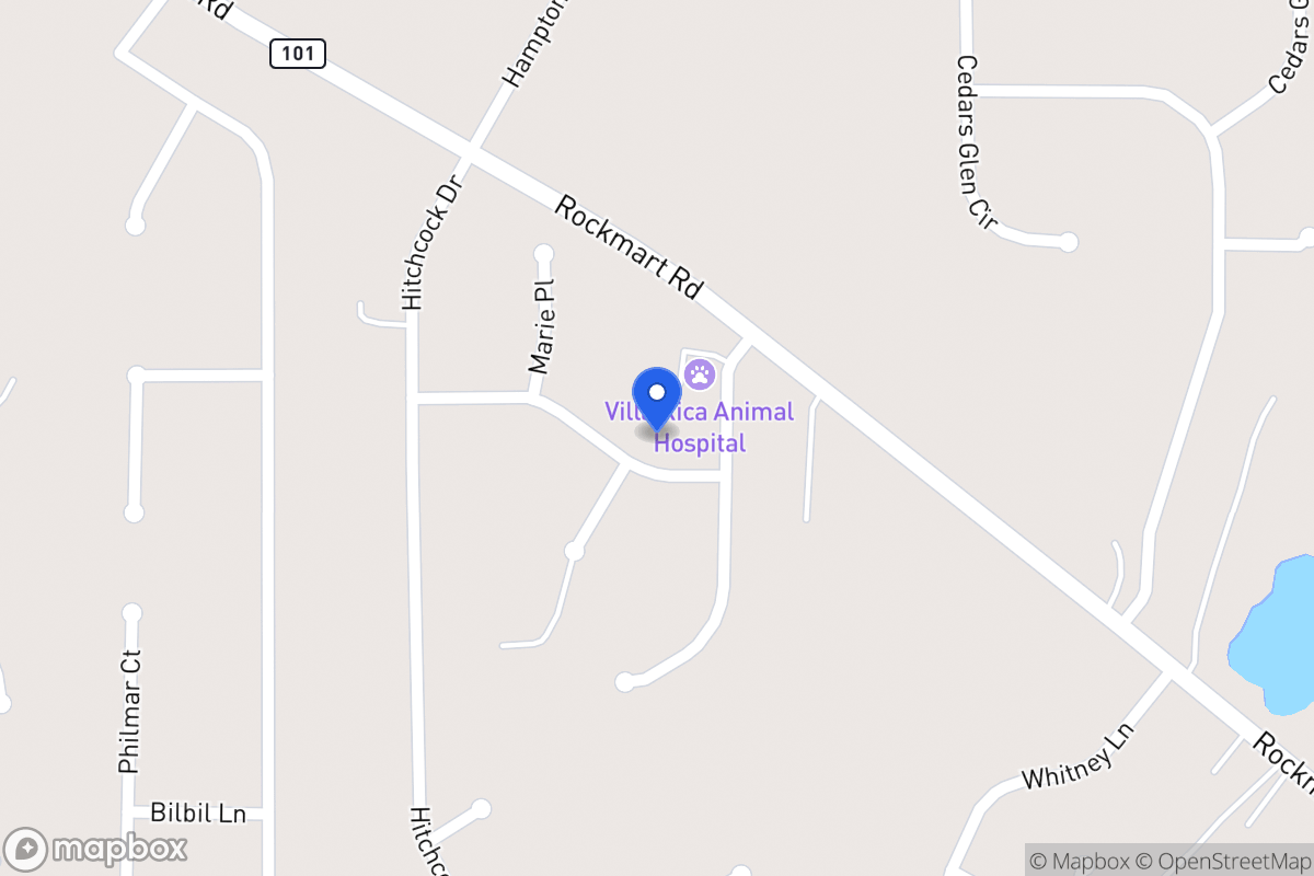 Map of 21 Jacob Trl