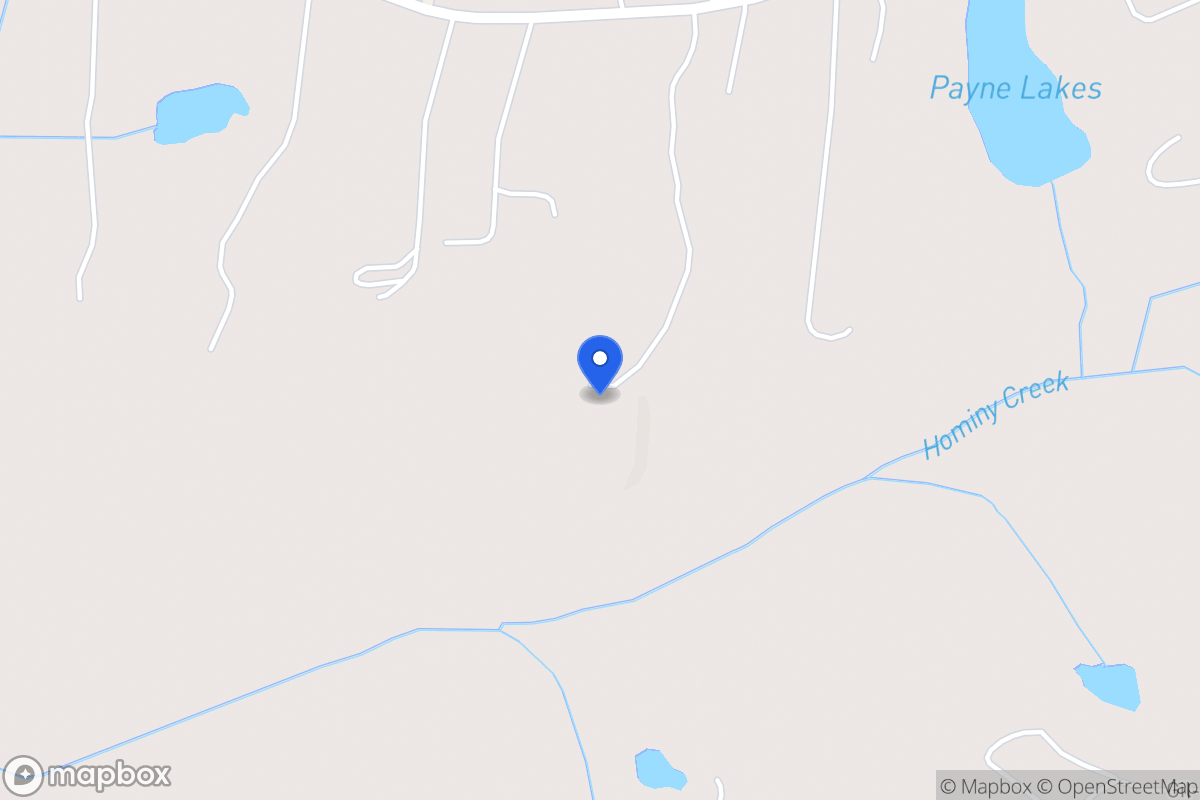 Map of 156 Paynes Lake Rd