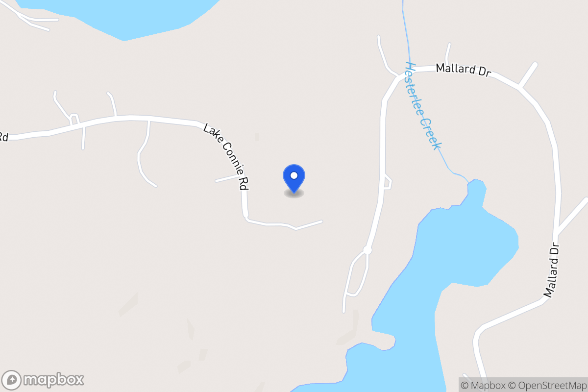 Map of 1008 Lake Connie Rd