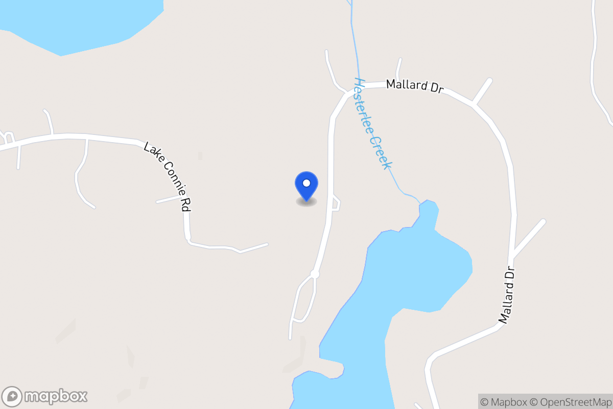 Map of 341 Mallard Dr