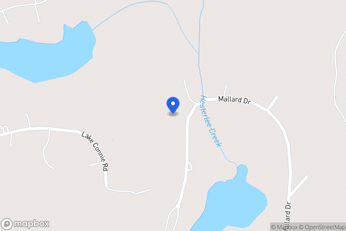 Map of 319 Mallard Dr