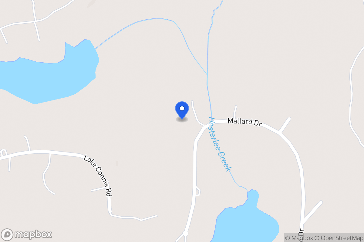 Map of 317 Mallard Dr
