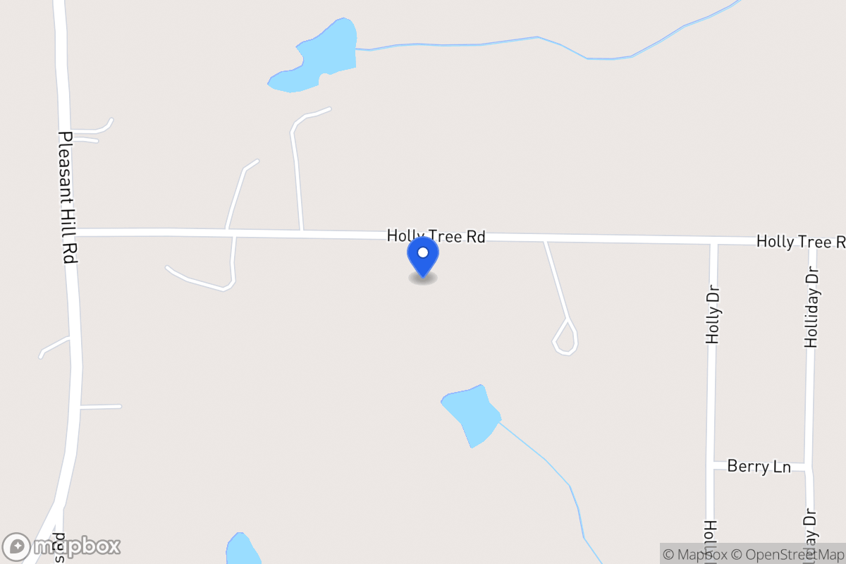 Map of 157 Holly Tree Rd