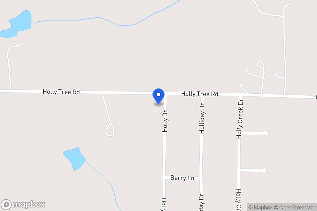 Map of 291 Holly Tree Rd
