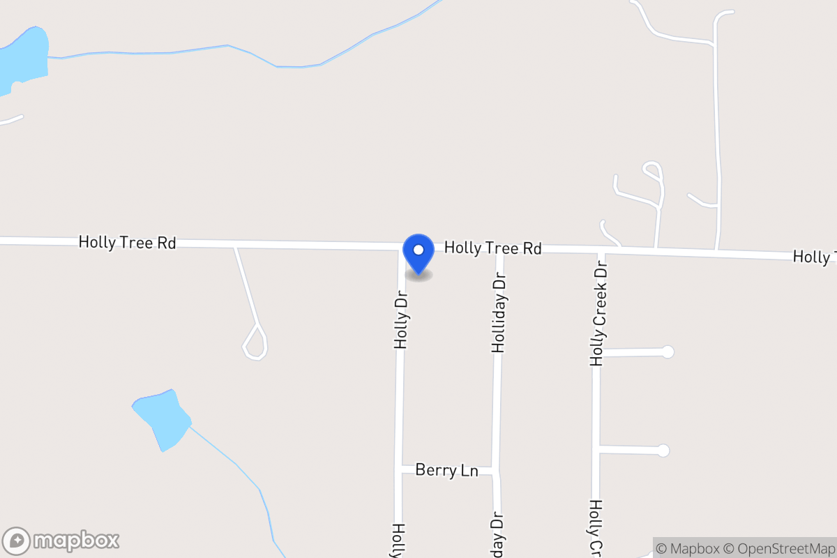 Map of 305 Holly Tree Rd