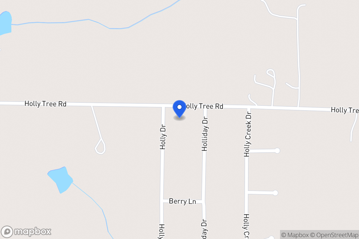 Map of 315 Holly Tree Rd
