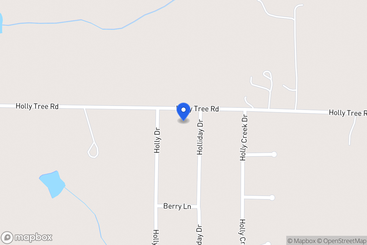 Map of 325 Holly Tree Rd
