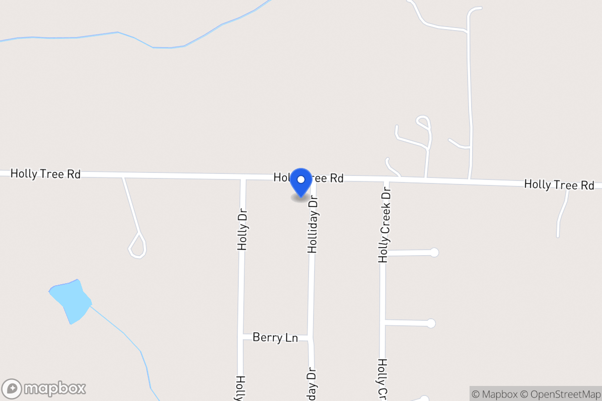 Map of 335 Holly Tree Rd