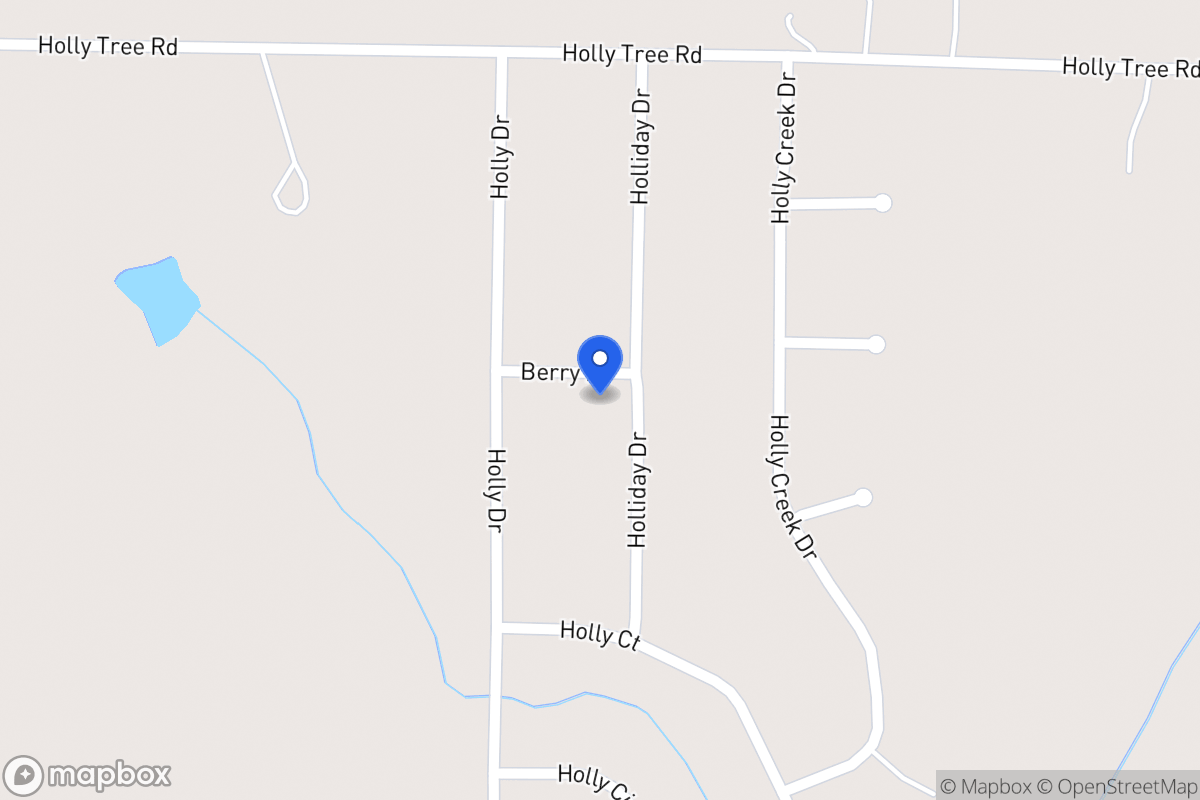 Map of 101 Holliday Dr