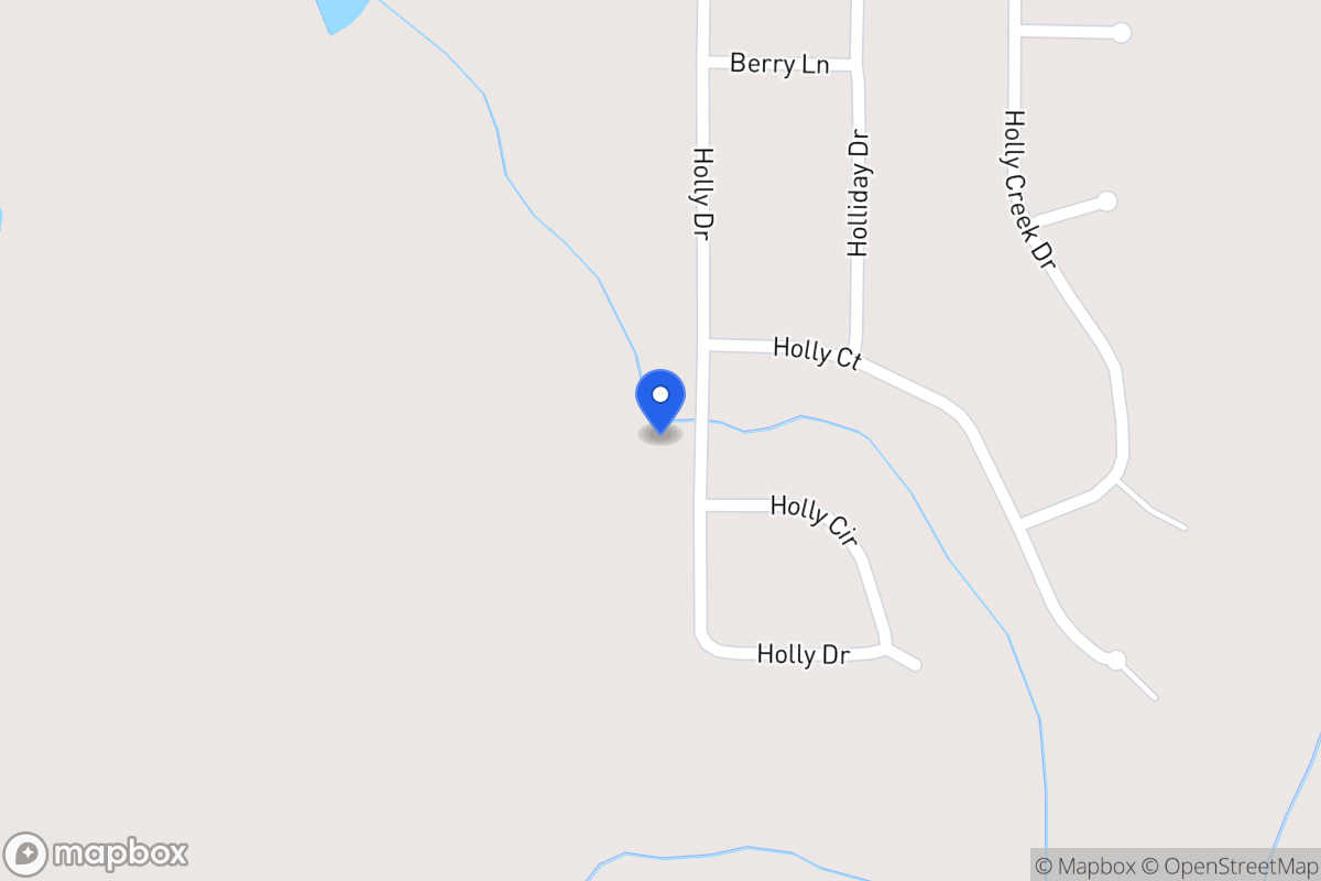Map of 207 Holly Dr