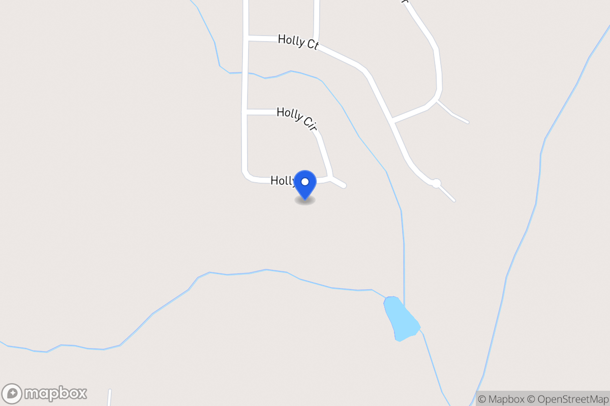 Map of 317 Holly Dr