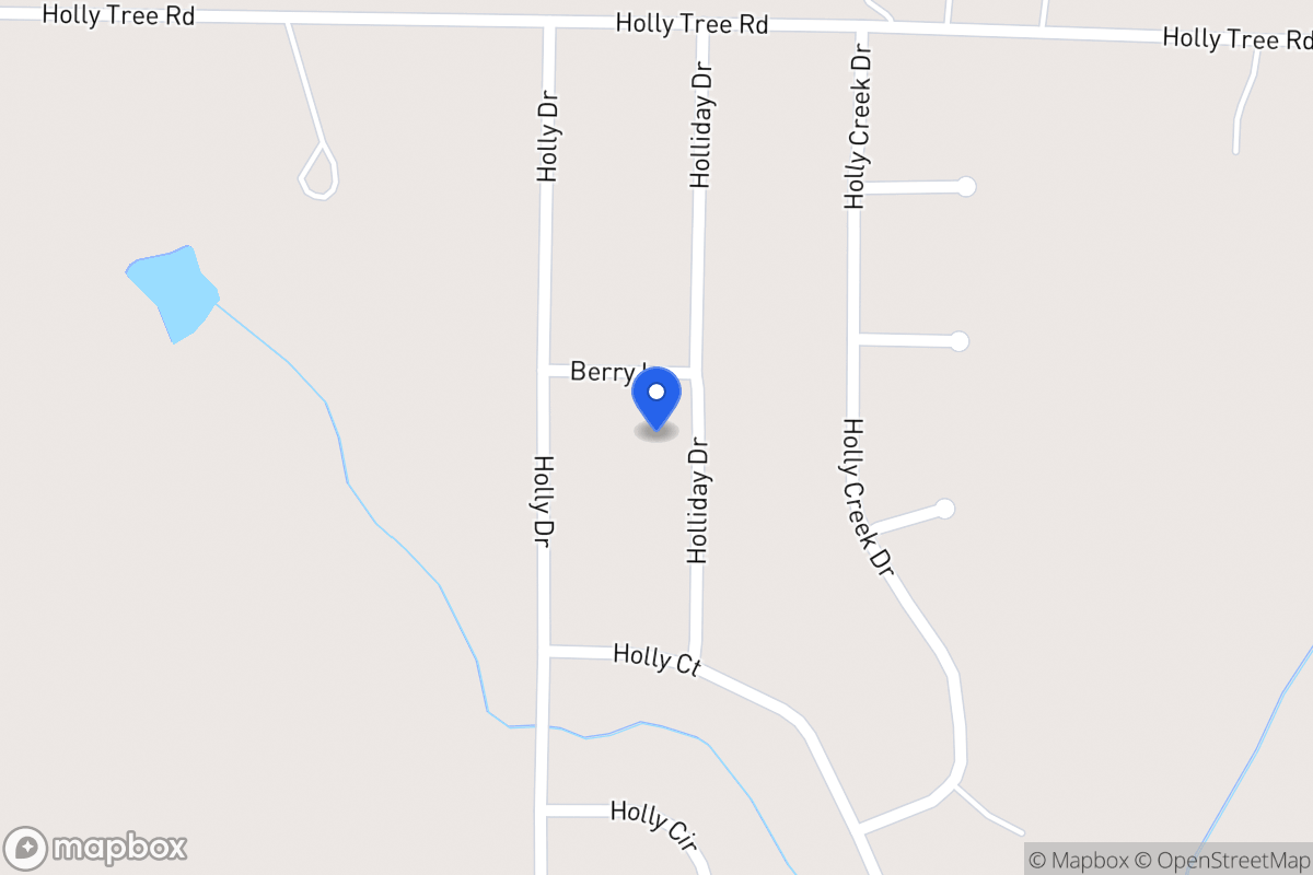 Map of 113 Holliday Dr
