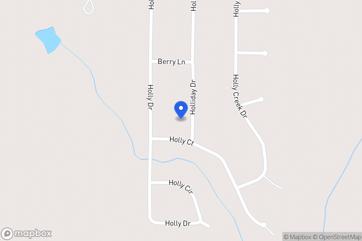 Map of 161 Holliday Dr