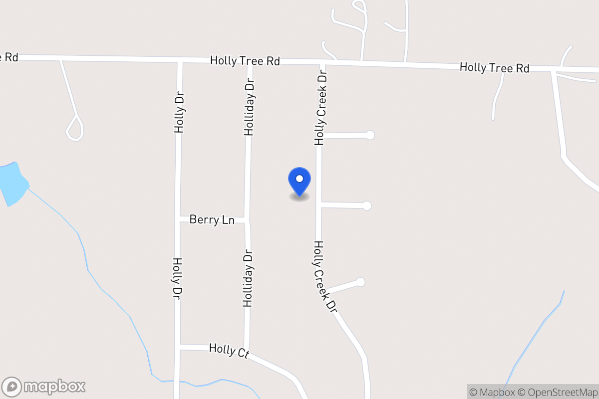 Map of 133 Holly Creek Dr